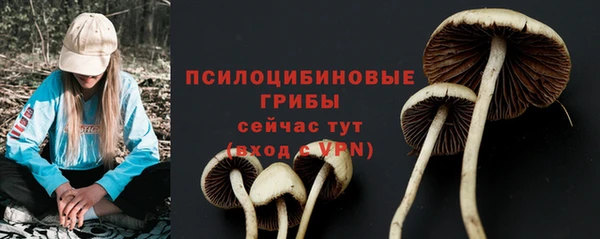 индика Абаза