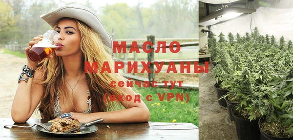 индика Абаза