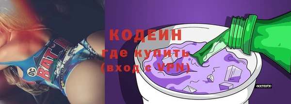 индика Абаза