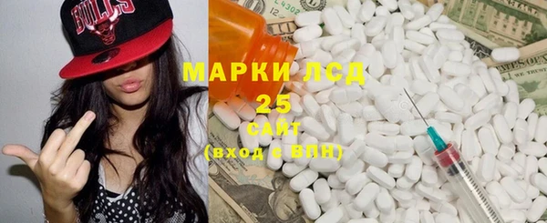 индика Абаза