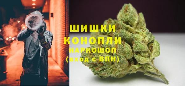 индика Абаза