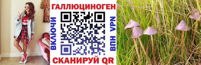 ссылка на мегу ТОР  Струнино  Псилоцибиновые грибы Cubensis 